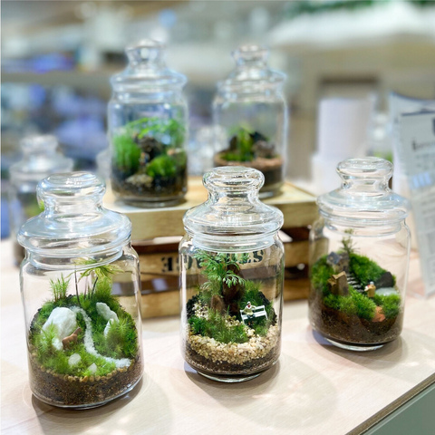 Terrariums（テラリウムス） (グリーン)｜メトロ・エム後楽園 | 東京